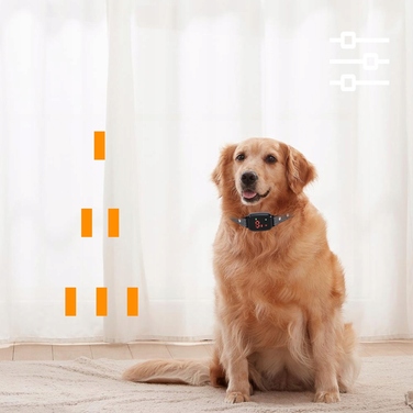 Антитягний нашийник для собак, тренувальний нашийник-пасок