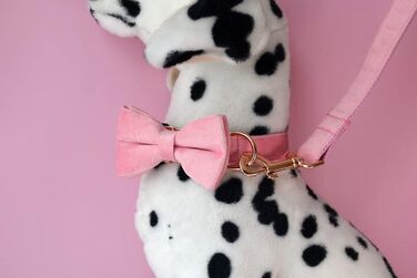 Іменний нашийник для собак з металевою застібкою, індивідуальні адресники для тварин з гравіюванням імені, телефону та адреси (Стиль А)