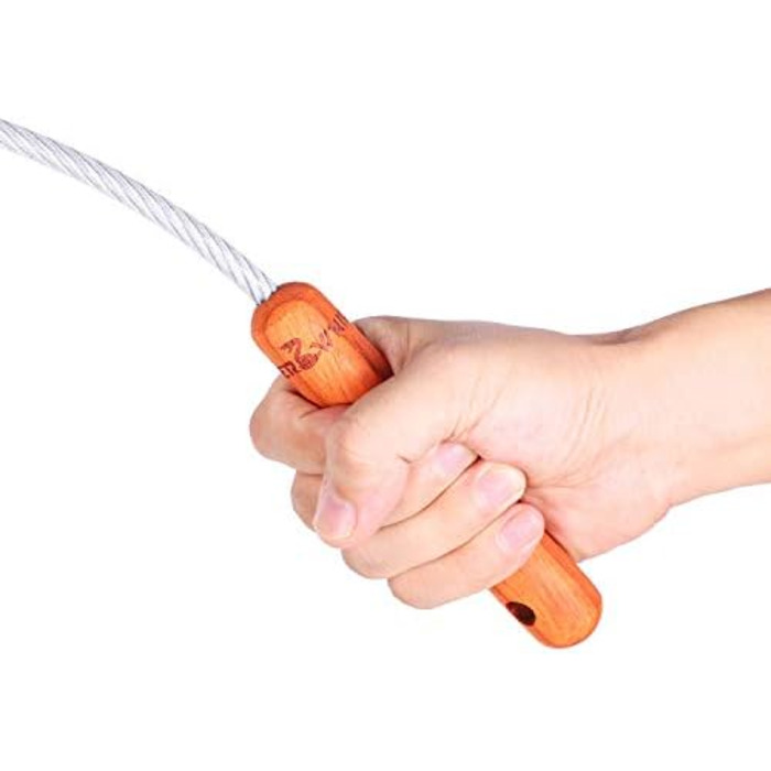 Бич для собак, дресирування, захист: біг, трюки, безпека