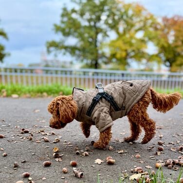 Теплий водонепроникний зимовий пуховик для собак Lalzoo LUVI 2-в-1 з інтегрованим нашийником – для маленьких та середніх собак, світлодіодна куртка, бежевий, розмір S