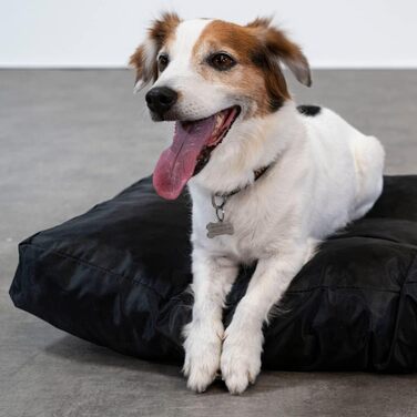 Крісло-лежанка для собак Bananair - м'яке та зручне, водонепроникний матеріал, легко миється - XXL лежанка/корзина для собак, різні розміри/кольори (90 x 65 x 10 см, чорний)