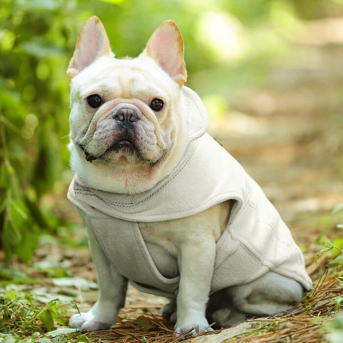 Зимовий теплий одяг для собак VIVAGLORY Softpad - флісовий теплий одяг з захистом живота, світловідбиваючий, регульований, бежевий, XXS (31-36см, 20см)