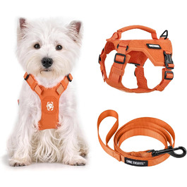 колір: помаранчевий