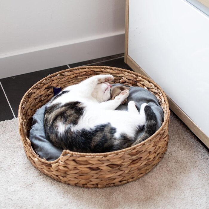 Кругле ліжко для собак та котів UNUS Animals з подушкою, діаметр 49 см