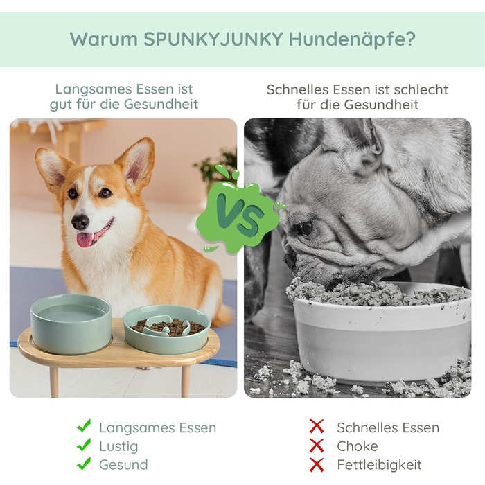 SPUNKYJUNKY Керамічна миска для собак і котів з підставкою з бамбука, антиковзаюча, світло-зелена