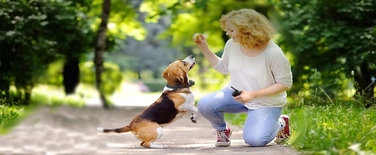 Навчальний електричний нашийник для собак з пультом керування, радіус 300м