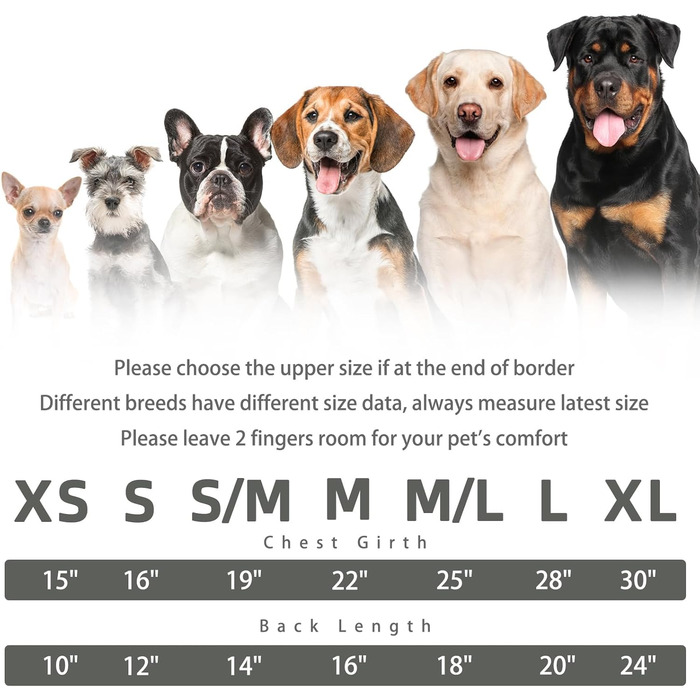 Пуловери для собак PUPTECK: теплі, класичні, для будь-якої породи та віку – ідеально для зими та відпочинку