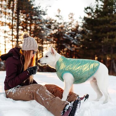 Зимовий теплий одяг для собак ASENKU: водонепроникний зимовий теплий одяг з флісовою підкладкою для малих, середніх та великих собак (М'ятний, XL)
