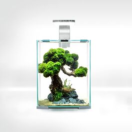 Aquael Shrimp Set SMART D&N 10 Білий акваріум для креветок, LED, енергоефективний