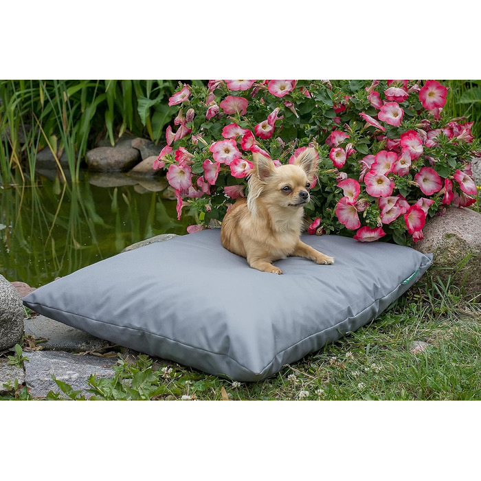 Водонепроникне лежанка для собак 60x50 см, сірого кольору (4L Textil ZOE)