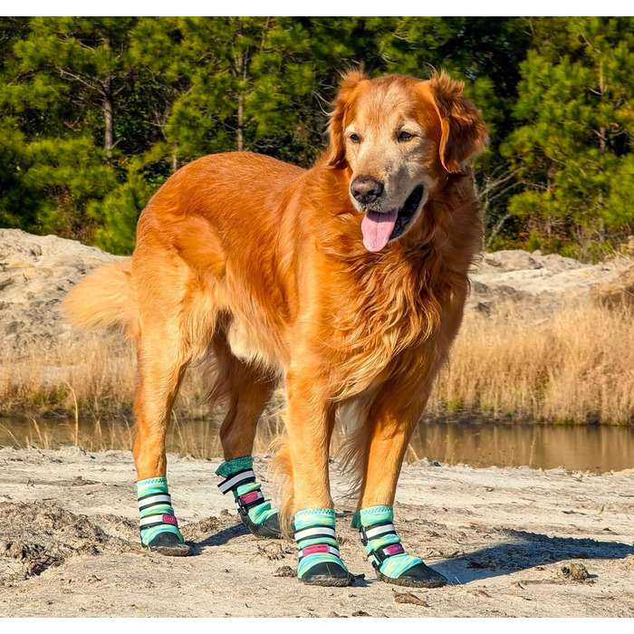 Чоботи для собак Bark Brite Allwetter Neopren, великий розмір, блакитний (з відбиваючими елементами)