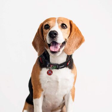 Нашийник для собак Cerdá Life's Little Moments Marvel M/L – офіційний ліцензований товар – регульований нашийник для собак середніх та великих порід – комфортний та міцний – Dog Collar M/L (1 шт.)