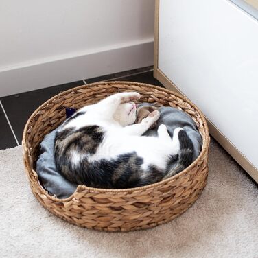 Кругле ліжко для собак та котів UNUS Animals з подушкою, діаметр 49 см