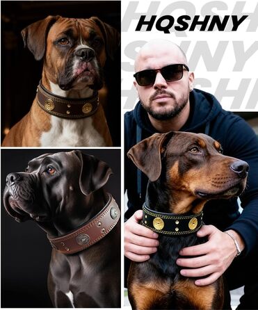 Шкіряний нашийник для собак, 5 см, ручної роботи, преміум-якість, для великих та середніх порід, золото-чорний, розмір M (46.5-57.5 см)