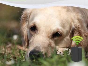 GPS-нашийник-локатор для собак з акумулятором 1200mAh, SOS-функція, керування через додаток, без абонплати