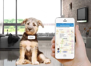 GPS-нашийник локатор TK909 для собак та котів, SOS, керування через додаток, без абонплати