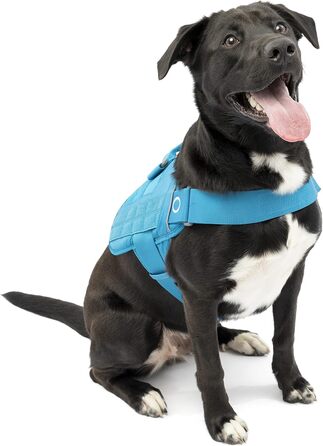 Шлейка для собак Kurgo RSG, тренувальна жилетка, з ручкою, світловідбиваюча, сумісна з MOLLE, розмір XL (Townie, Blue, L)