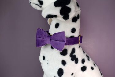 Іменний нашийник для собак з металевою застібкою, індивідуальні адресники для тварин з гравіюванням імені, телефону та адреси (Стиль А)