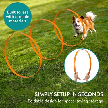 Набір для аджиліті для собак Navaris (3 шт.) - кільця для собак, тренування, аджиліті, посібник для собак, аксесуари для собак, оранжевий