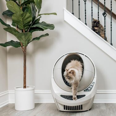 Автоматичний туалет для котів Litter-Robot 3 Connect Whisker, бежевий, самоочищення, зменшує запахи, підходить для будь-якого грудкуватого наповнювача