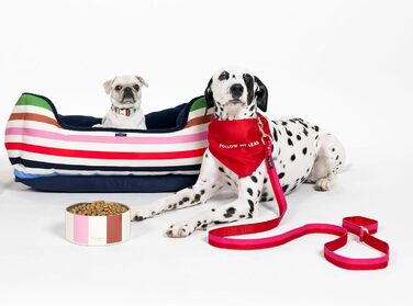 Повідок для собак Kate Spade New York 1,4 м, міцний, з золотистою фурнітурою, стильний для малих і середніх порід