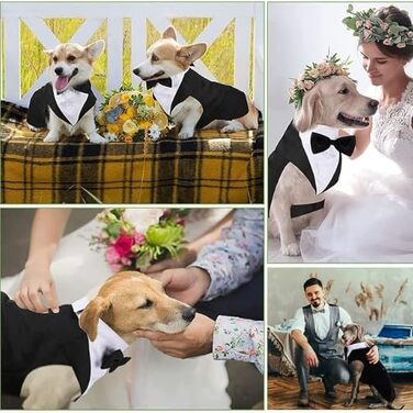 Костюм для собак 