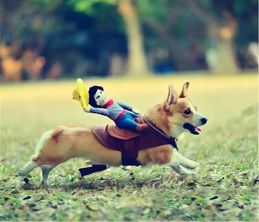 Костюм для собак Delifur: Ковбойський стиль, розмір XL