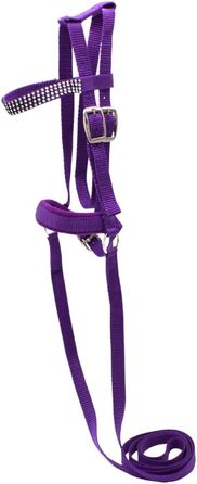 Зауваження для іграшкових коней PFIFF 'Lotty' (103126), універсальний розмір, фіолетовий