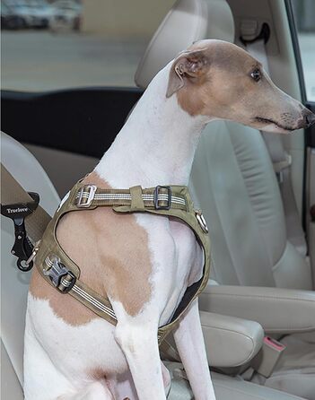 Замок для безпеки автомобіля TRUE LOVE: надійний кріплення для тварин під час подорожей