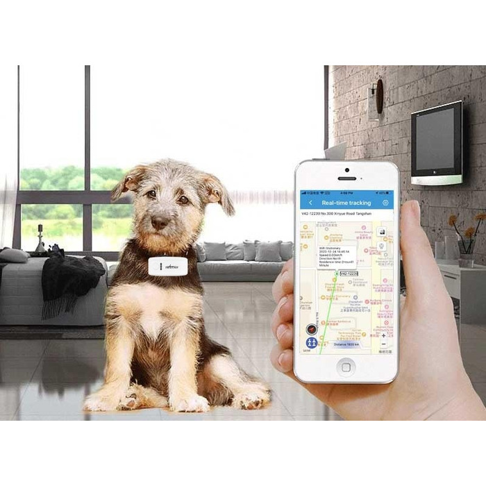 GPS-нашийник локатор TK909 для собак та котів, SOS, керування через додаток, без абонплати