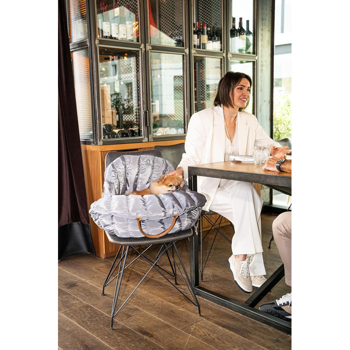 Сучасна переноска для собак Flying Dog Baily 3-в-1: сумка, автокрісло та переноска для маленьких собак до 10 кг (сіра)