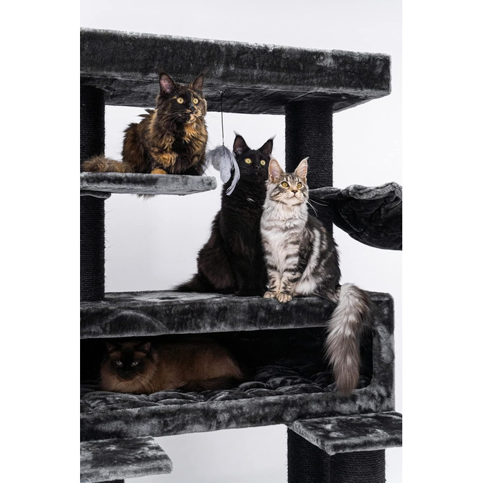 Дерев'яний кігтеточка для великих котів Petrebels Maine Coon XXL Lookout 198, надміцний, стовпи 15 см Ø, 100x60x198 см, чорний