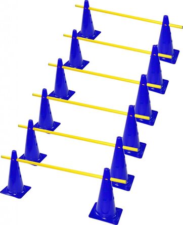 Набір спортивних фігурок Rhinos: 6 синіх кеглів (38 см) та 6 жовтих стійок (1 м)