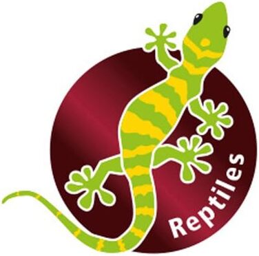 Дрібничка для хобі Hobby Stump - 27,6 x 19,4 x 7,4 см, 1 шт.