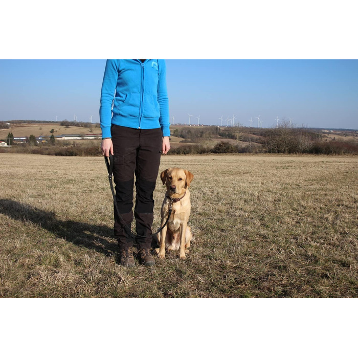 Шкіряний повідок Activity4Dogs для середніх і великих собак, 1 м, 2 см, чорний, короткий, німецький, для дресирування