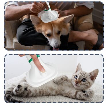 Фен для собак Kikuo 2-в-1, портативний для грумінгу, регульована температура, для собак та котів середніх та малих порід