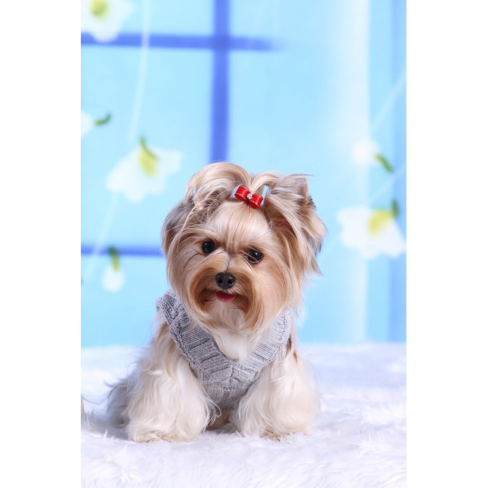 Пуловер для собак Doggy Dolly W073, сірий, зимовий, розмір L (46-48см груди, 31-33см спина)