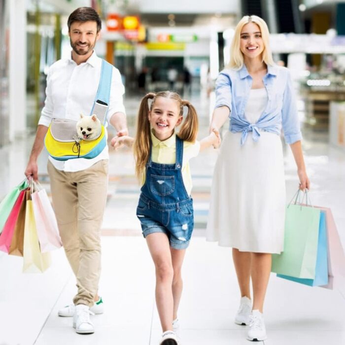 Переносна сумка-переноска для собак, котів, цуценят FeimaX Roa (L, блакитна)