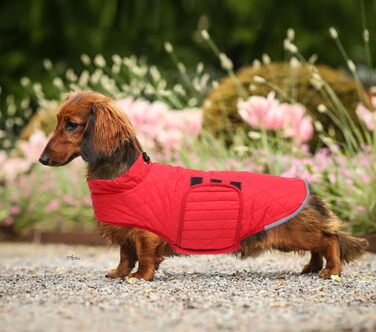 Водонепроникна зимова куртка для такси для собак Babepet з флісовою підкладкою, світловідбиваючий пуловер з отвором для шлейки, червоний, розмір L (спина: 45 см)