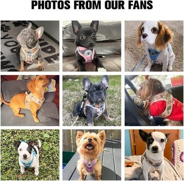 Шлейка та поводок для собак та котів BeautyzOO, м'яка сітчаста тканина, світловідбиваючі елементи, для цуценят та котів середніх та маленьких розмірів, в клітинку, XS/S, Бежевий (37-41 см обхват грудей)