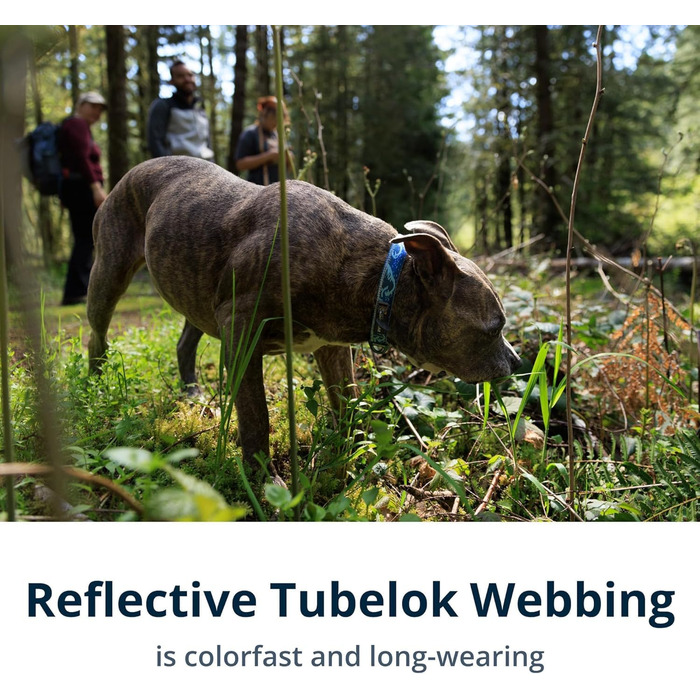 Нашийник для собак Ruffwear Crag, середній, 36-51 см, з алюмінієвим кільцем V, регульований, м'який, преміум-якість, для повідка