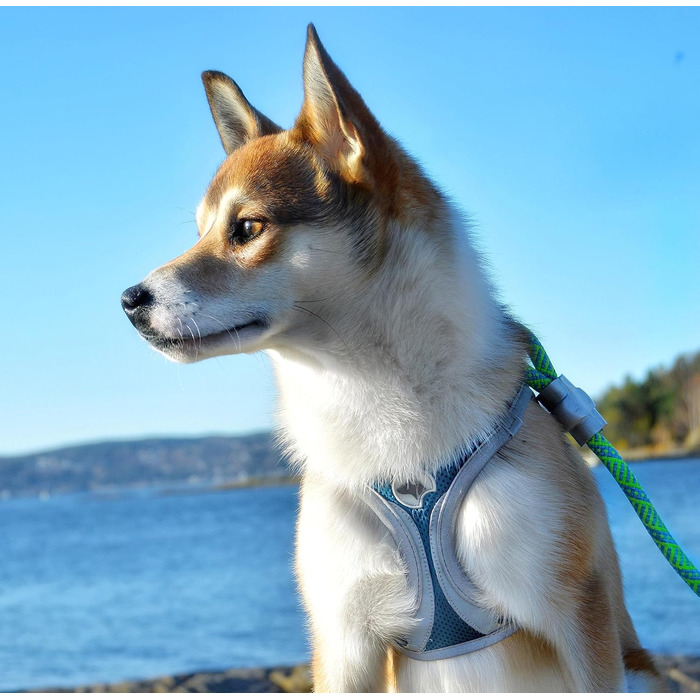 Трекінгові чоботи Croci з ефектним леопардовим принтом, 350 г, розмір L