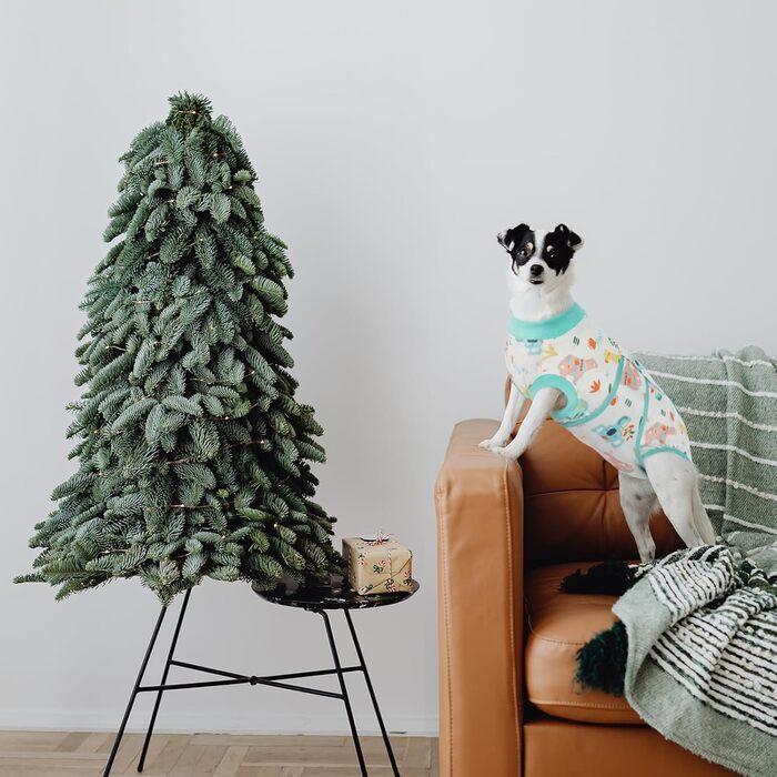 Тільце для собак після операції, захист від лизання, дихаюче, зелене, XS (1 шт.)