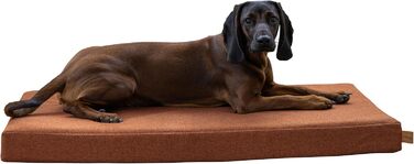 Матрац для собак Kerbl Oliver з піною пам'яті, ортопедичний, для собак з проблемами суглобів, знімний чохол, Made in Italy, коричневий, 80x50x8 см / 50x80x8 см