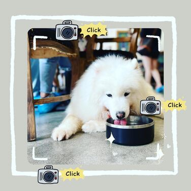 Набір мисок для собак IKITCHEN з нержавіючої сталі, подвійні стінки, ізольовані, чорні (1,2 л)