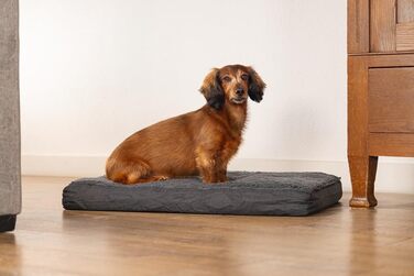 Ортопедичне ліжко для собак Beeztees Zira, темно-сірий, 75x50x9 см