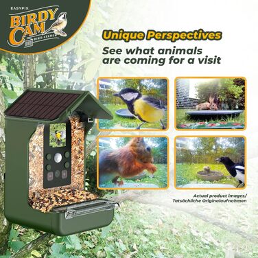 Пташина годівниця з камерою EASYPIX BirdyCam, сонячна енергія, автоматичне HD-відео та фото, кормушка для саду