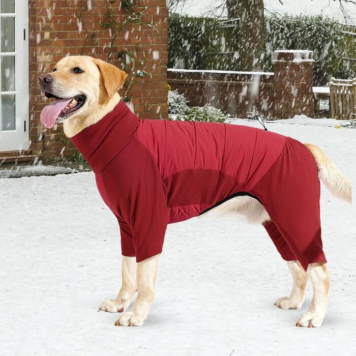 Водонепроникний зимовий одяг для собак: теплий, вітрозахисний зимовий одяг для малих та середніх собак, розмір M, червоний колір. Ідеально для прогулянок, походів та кемпінгу на природі.