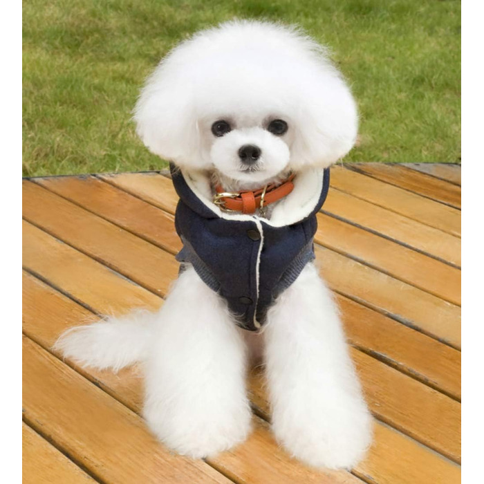 Теплий зимовий одяг для собак: тепла куртка-худі для собак маленьких та середніх порід, розмір L (обхват грудей 42 см), колір: блакитний з баранчими вушками