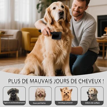 Набір щіток та гребінців Slicker для великих собак з довгою шерстю – щітка для розплутування з пінами 22 мм для Голден Ретріверів, Пуделів, Дудлів та котів – професійний догляд за шерстю з дерев'яною ручкою та шкіряним еталожем (Чорний)